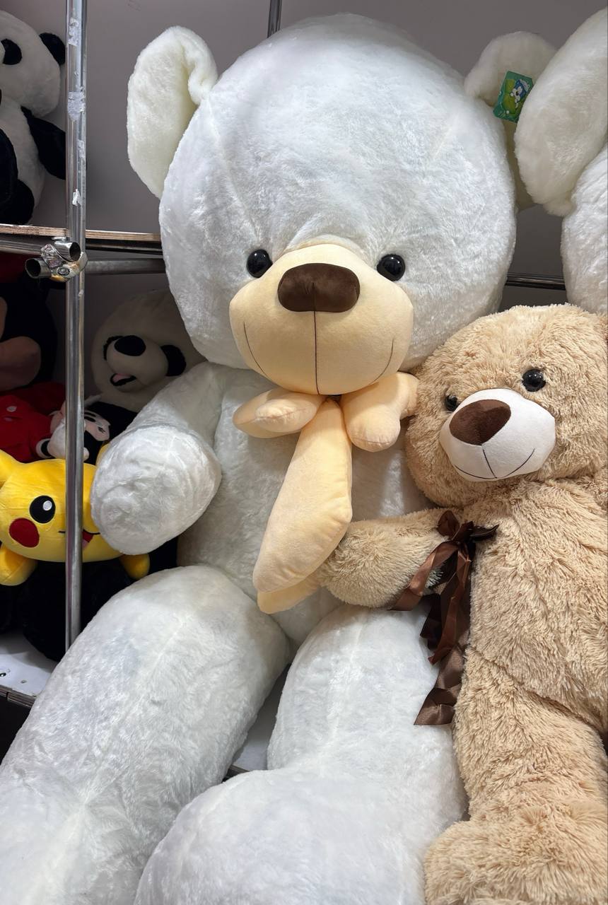 Soft teddy bear TEDDY white - ayq