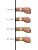 Men’s Slim Runway Beige Gold-Tone Stainless Steel Watch