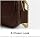Coach Brook Women's Chain Flap Crossbody Bag