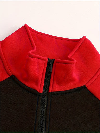 Men's Slim Fit Color Block Zip-Up Jacket with Stand Collar