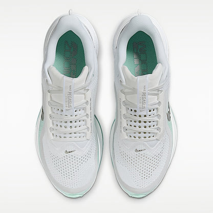 Nike Pegasus Premium Women's Stability Running Shoes