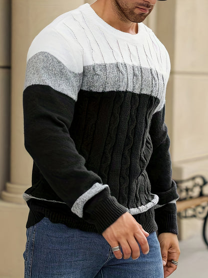 Men's Autumn/Winter Casual Color-Block Twist-Knit Pullover Sweater