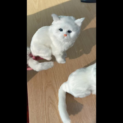 Simulation Cat Toys Featuring Five Types of Cats: Persian, Black, Spotted, And Other Realistic Animal Designs.